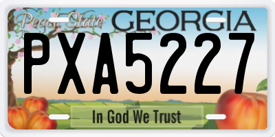 GA license plate PXA5227