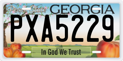 GA license plate PXA5229