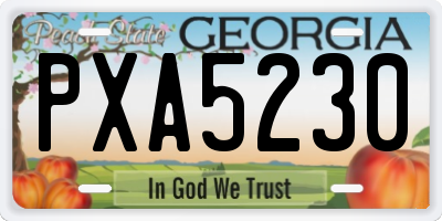 GA license plate PXA5230