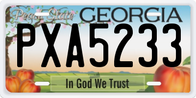 GA license plate PXA5233