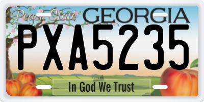 GA license plate PXA5235