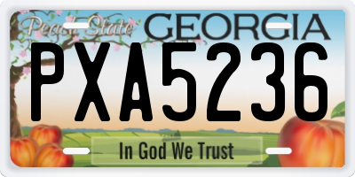 GA license plate PXA5236