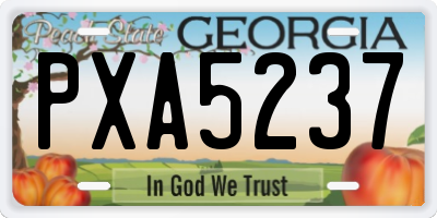 GA license plate PXA5237
