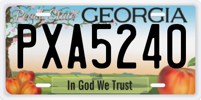GA license plate PXA5240