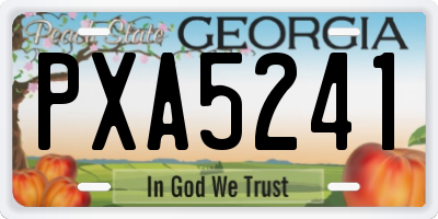 GA license plate PXA5241