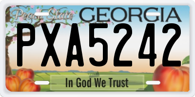 GA license plate PXA5242
