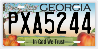 GA license plate PXA5244