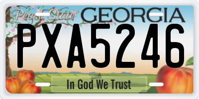 GA license plate PXA5246