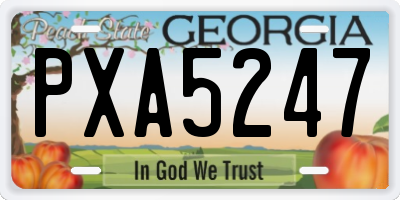 GA license plate PXA5247
