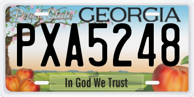 GA license plate PXA5248