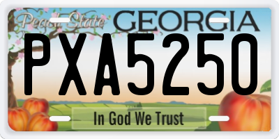 GA license plate PXA5250