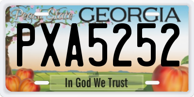 GA license plate PXA5252