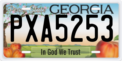 GA license plate PXA5253