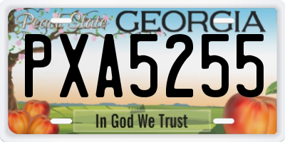 GA license plate PXA5255