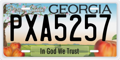 GA license plate PXA5257