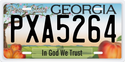 GA license plate PXA5264