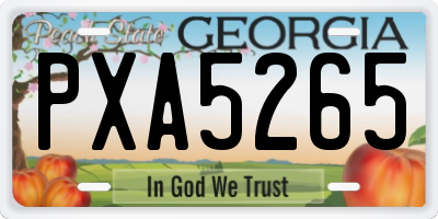 GA license plate PXA5265