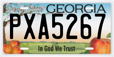 GA license plate PXA5267