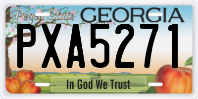 GA license plate PXA5271