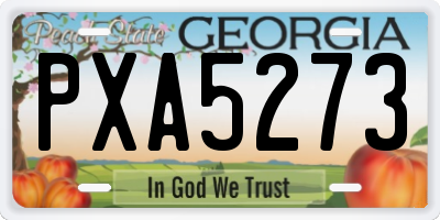 GA license plate PXA5273