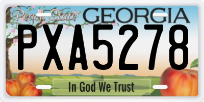 GA license plate PXA5278