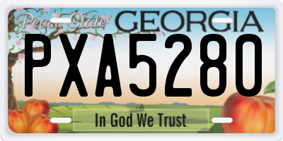 GA license plate PXA5280