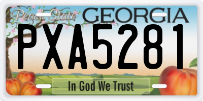 GA license plate PXA5281