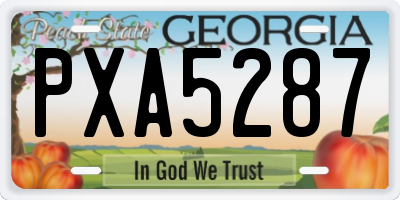 GA license plate PXA5287