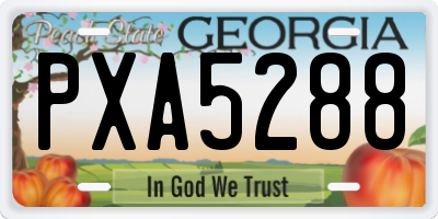 GA license plate PXA5288