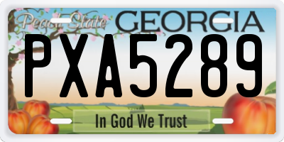 GA license plate PXA5289