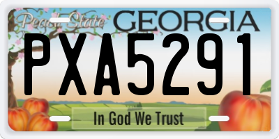 GA license plate PXA5291