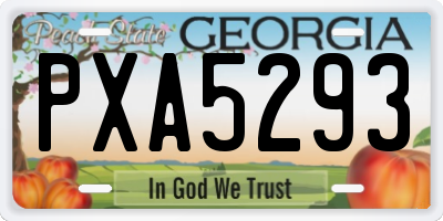 GA license plate PXA5293