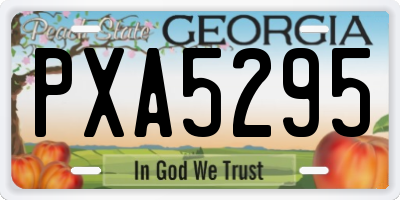 GA license plate PXA5295