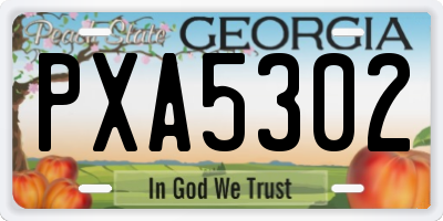 GA license plate PXA5302