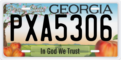 GA license plate PXA5306