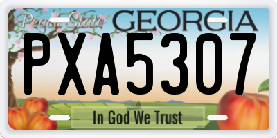 GA license plate PXA5307