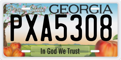 GA license plate PXA5308