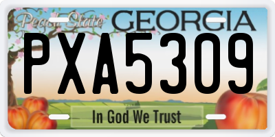 GA license plate PXA5309