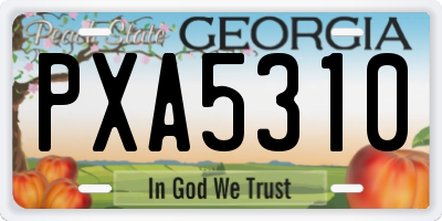 GA license plate PXA5310