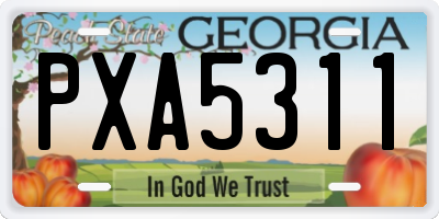 GA license plate PXA5311