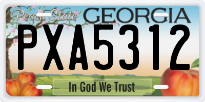GA license plate PXA5312