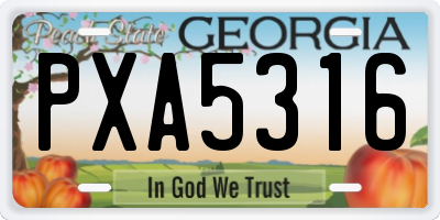 GA license plate PXA5316