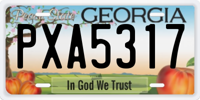 GA license plate PXA5317