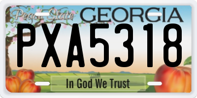 GA license plate PXA5318