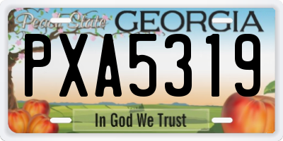 GA license plate PXA5319