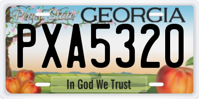 GA license plate PXA5320