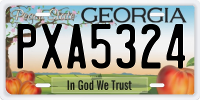 GA license plate PXA5324
