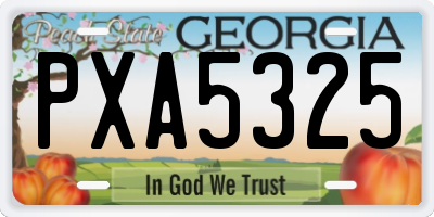 GA license plate PXA5325