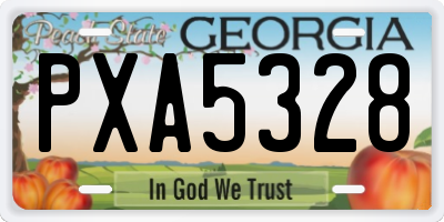 GA license plate PXA5328
