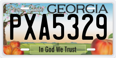 GA license plate PXA5329